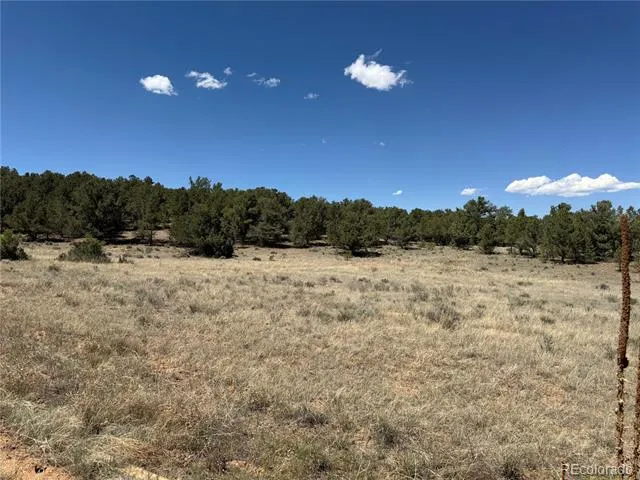 520 W View Road Cotopaxi, CO 81223