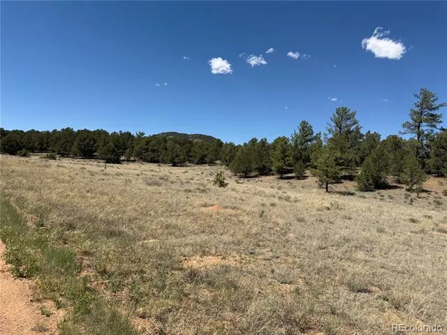 520 W View Road Cotopaxi, CO 81223