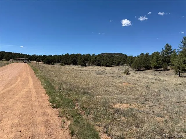520 W View Road Cotopaxi, CO 81223