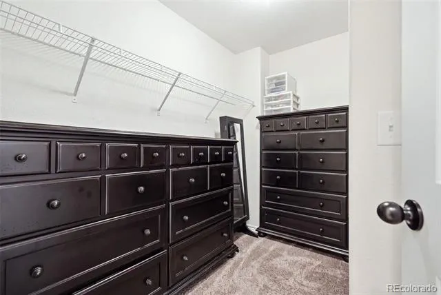 1992 Thundercloud Drive Windsor, CO 80550