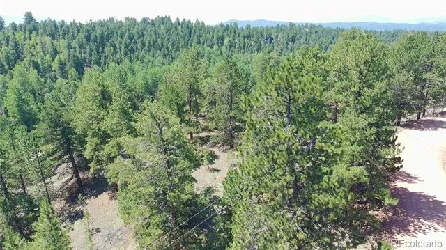 787 Spring Valley Lane Florissant, CO 80816