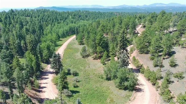 787 Spring Valley Lane Florissant, CO 80816