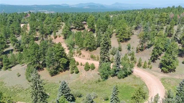 787 Spring Valley Lane Florissant, CO 80816
