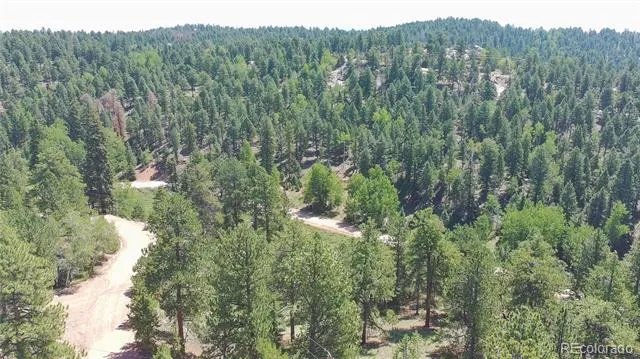 787 Spring Valley Lane Florissant, CO 80816