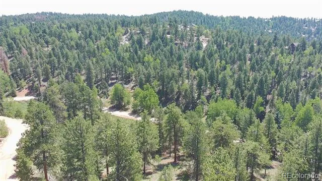 787 Spring Valley Lane Florissant, CO 80816
