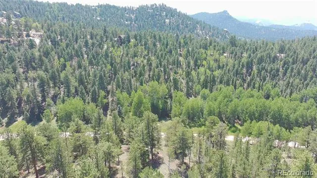 787 Spring Valley Lane Florissant, CO 80816