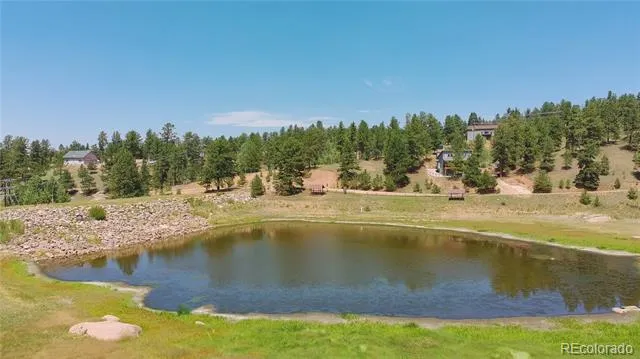 787 Spring Valley Lane Florissant, CO 80816