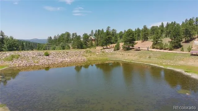 787 Spring Valley Lane Florissant, CO 80816