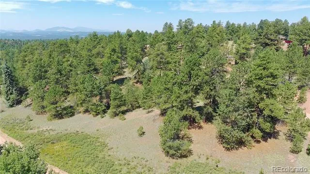 787 Spring Valley Lane Florissant, CO 80816