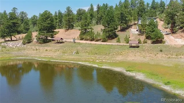 787 Spring Valley Lane Florissant, CO 80816