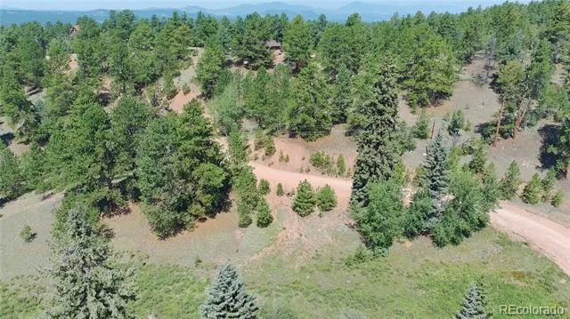 787 Spring Valley Lane Florissant, CO 80816
