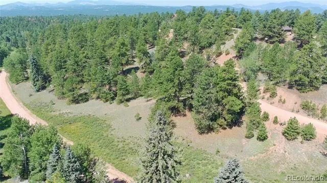 787 Spring Valley Lane Florissant, CO 80816