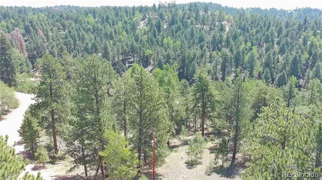 787 Spring Valley Lane Florissant, CO 80816