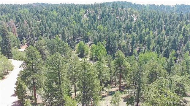 787 Spring Valley Lane Florissant, CO 80816