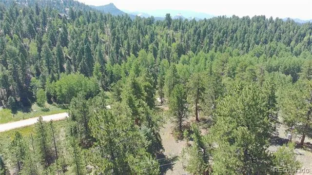 787 Spring Valley Lane Florissant, CO 80816