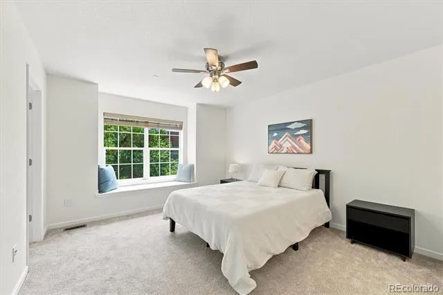 8705 E 29th Place Denver, CO 80238