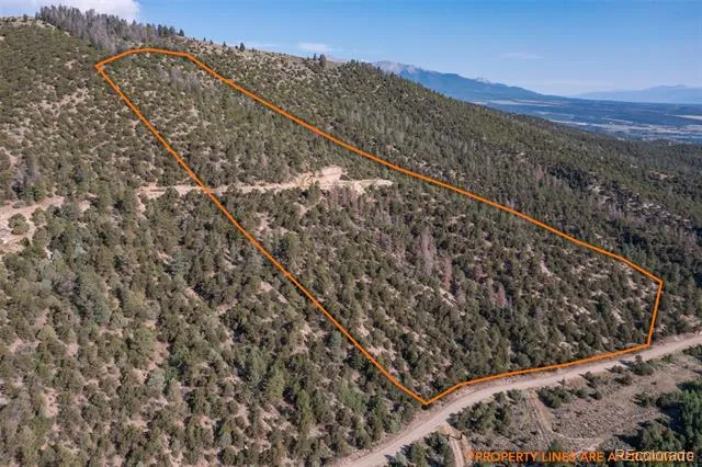 3526 County Road 210 Salida, CO 81201