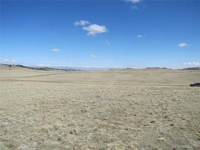1454 Chicha Road Hartsel, CO 80449