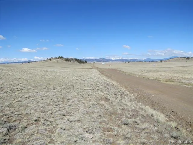 1454 Chicha Road Hartsel, CO 80449