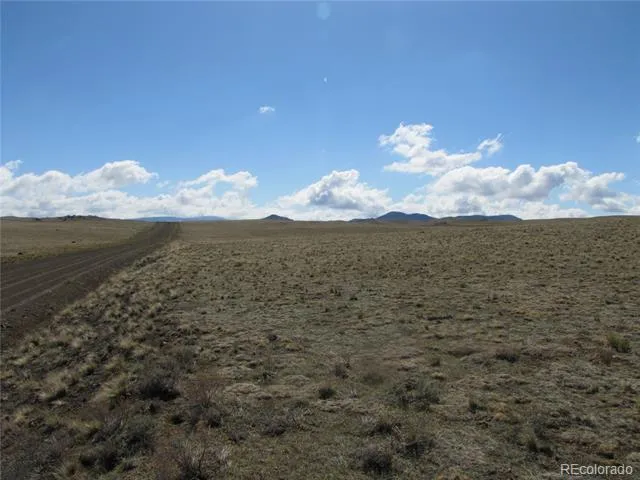 1454 Chicha Road Hartsel, CO 80449
