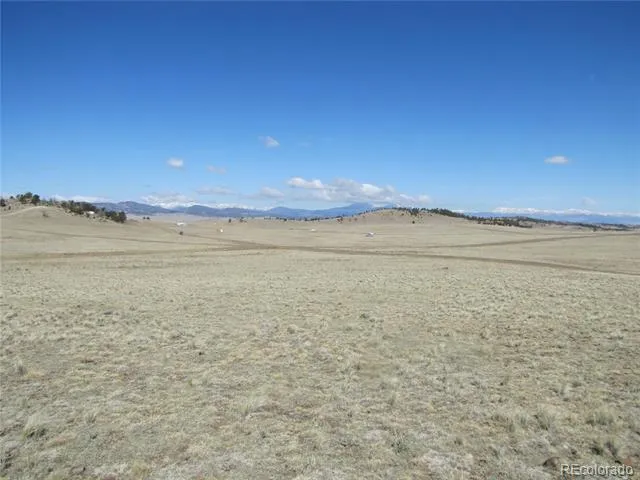 1454 Chicha Road Hartsel, CO 80449