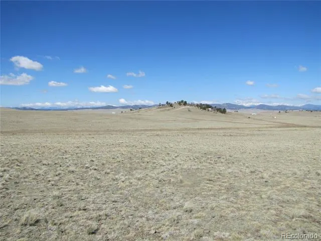 1454 Chicha Road Hartsel, CO 80449