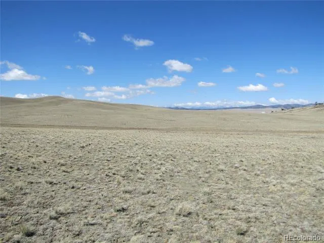 1454 Chicha Road Hartsel, CO 80449