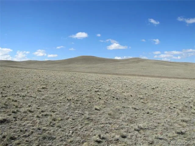1454 Chicha Road Hartsel, CO 80449