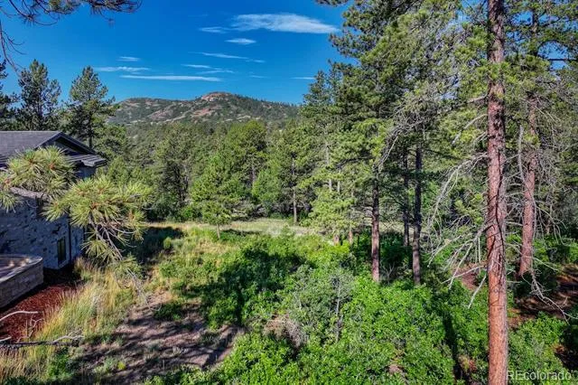 1205 Wildcat Bend Court Castle Rock, CO 80108