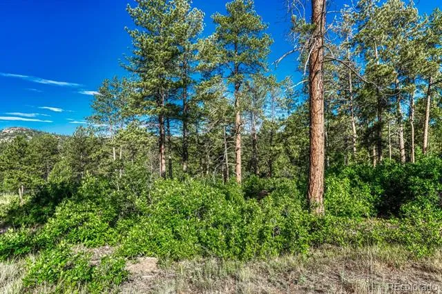 1205 Wildcat Bend Court Castle Rock, CO 80108