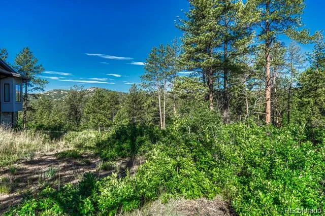 1205 Wildcat Bend Court Castle Rock, CO 80108