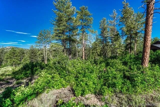 1205 Wildcat Bend Court Castle Rock, CO 80108