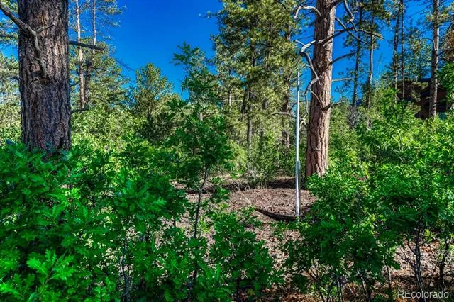 1205 Wildcat Bend Court Castle Rock, CO 80108
