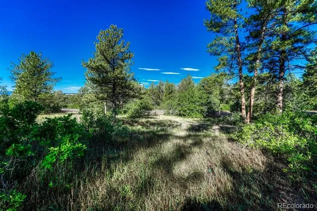 1205 Wildcat Bend Court Castle Rock, CO 80108