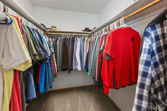 290 Taopi Circle Woodland Park, CO 80863