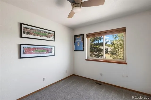 290 Taopi Circle Woodland Park, CO 80863