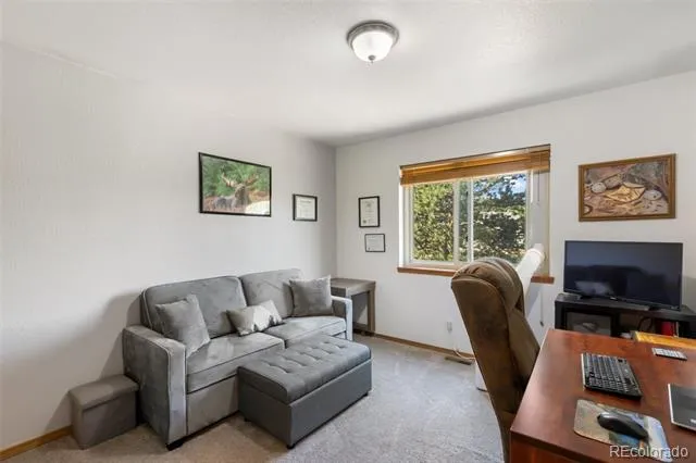 290 Taopi Circle Woodland Park, CO 80863