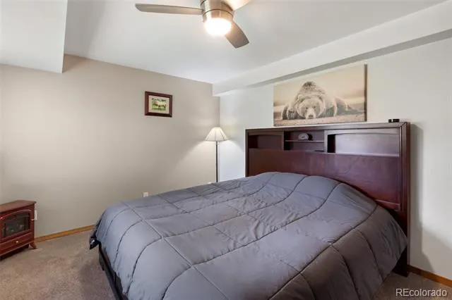 290 Taopi Circle Woodland Park, CO 80863