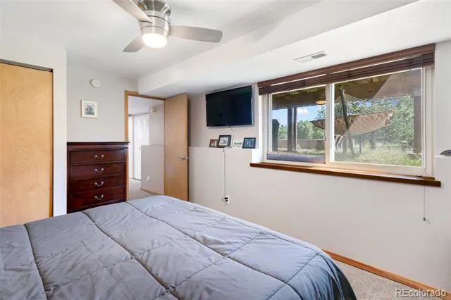 290 Taopi Circle Woodland Park, CO 80863
