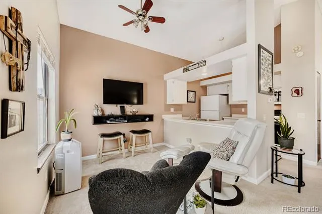 4252 S Richfield Way Aurora, CO 80013