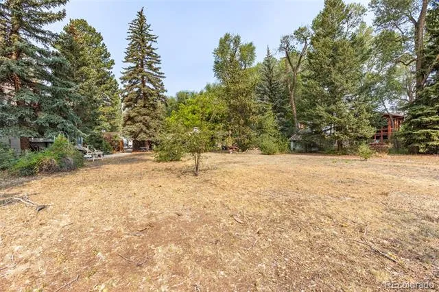 408 Princeton Avenue Buena Vista, CO 81211