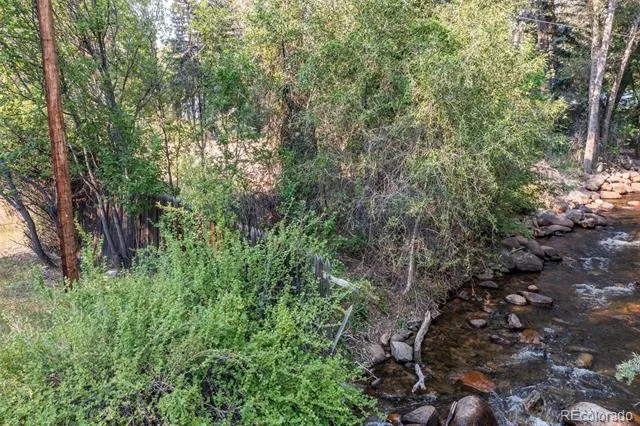 408 Princeton Avenue Buena Vista, CO 81211