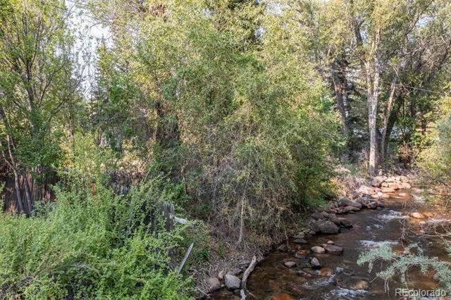 408 Princeton Avenue Buena Vista, CO 81211
