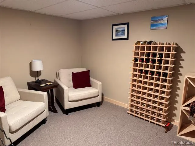 41 Granada Court Silver Cliff, CO 81252