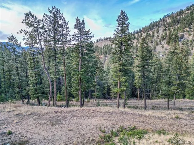 26779 Fern Gulch Road Evergreen, CO 80439