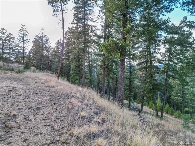26779 Fern Gulch Road Evergreen, CO 80439