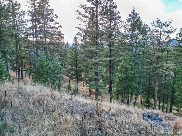 26779 Fern Gulch Road Evergreen, CO 80439