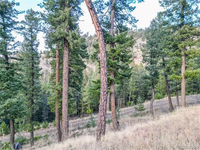 26779 Fern Gulch Road Evergreen, CO 80439