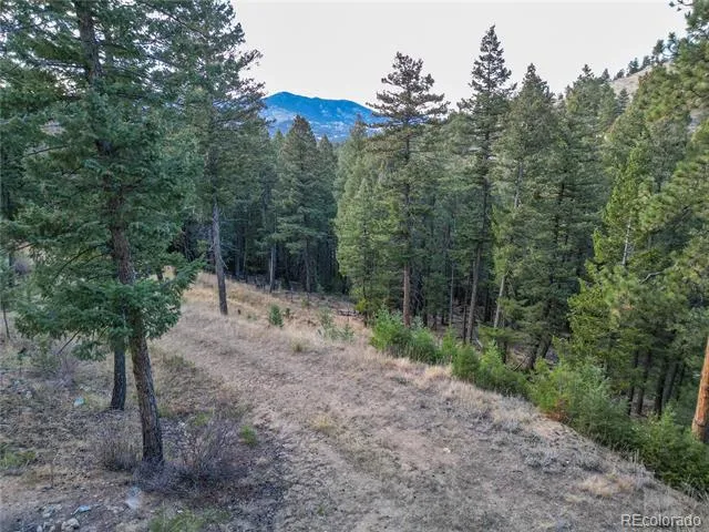 26779 Fern Gulch Road Evergreen, CO 80439
