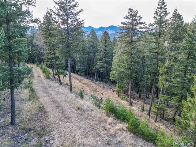 26779 Fern Gulch Road Evergreen, CO 80439